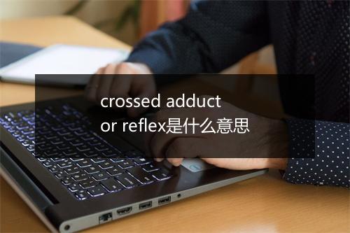 crossed adductor reflex是什么意思