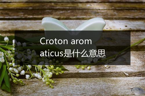 Croton aromaticus是什么意思