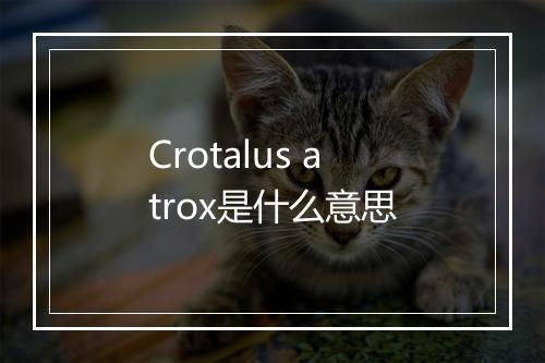 Crotalus atrox是什么意思