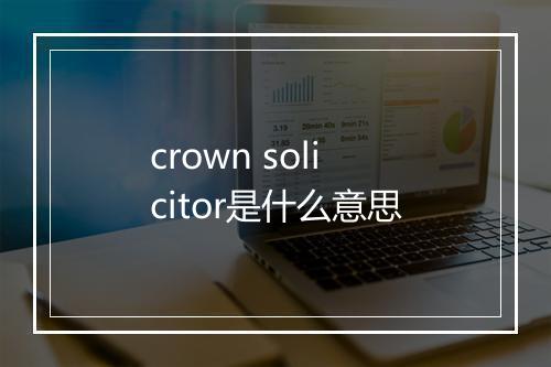 crown solicitor是什么意思