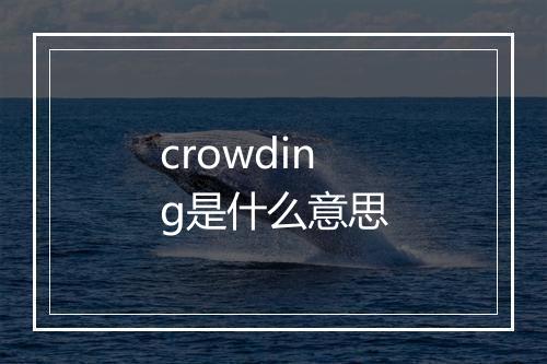 crowding是什么意思