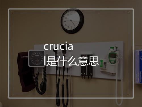 crucial是什么意思