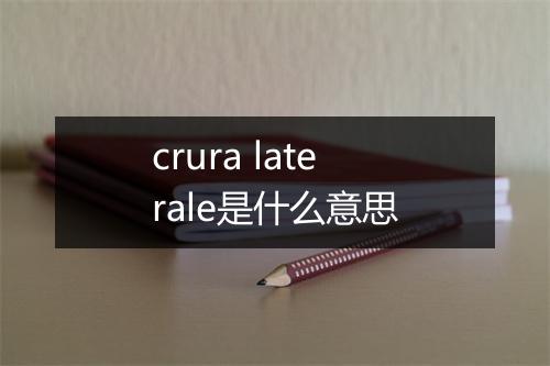 crura laterale是什么意思