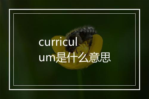 curriculum是什么意思