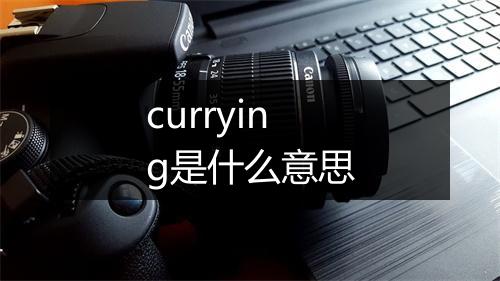 currying是什么意思