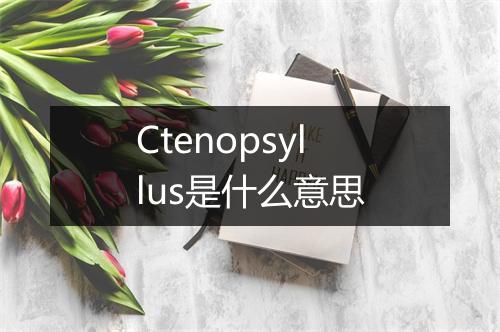 Ctenopsyllus是什么意思