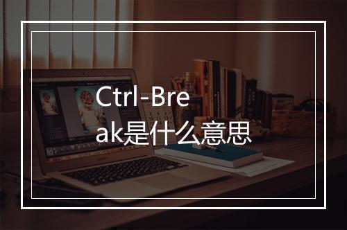 Ctrl-Break是什么意思