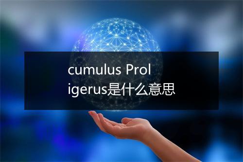 cumulus Proligerus是什么意思