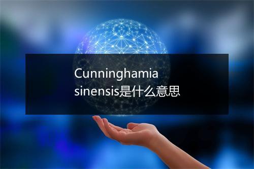 Cunninghamia sinensis是什么意思