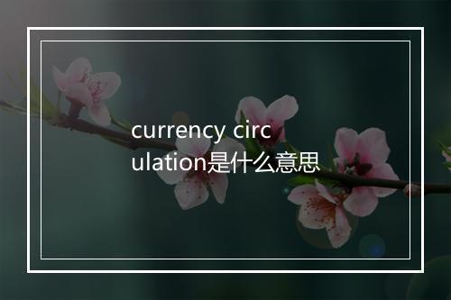 currency circulation是什么意思