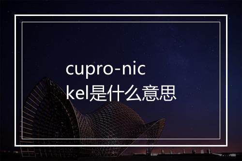 cupro-nickel是什么意思