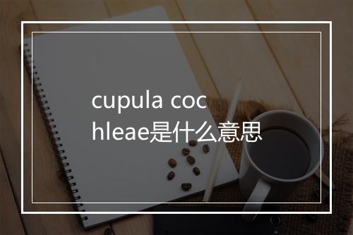 cupula cochleae是什么意思