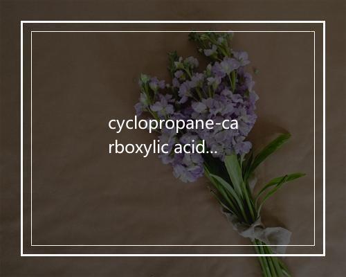 cyclopropane-carboxylic acid是什么意思