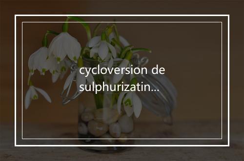 cycloversion desulphurizatin是什么意思