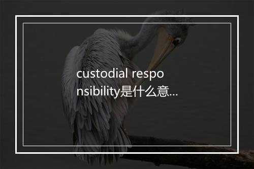 custodial responsibility是什么意思