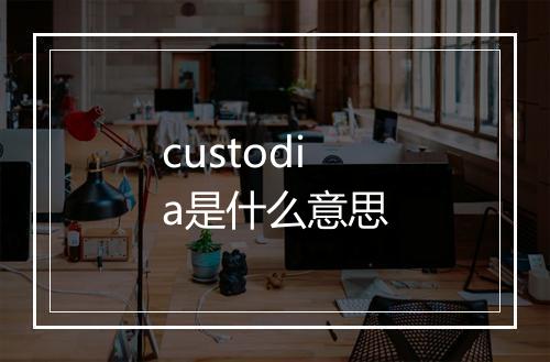 custodia是什么意思