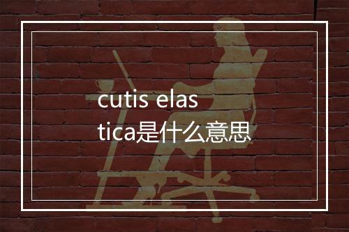 cutis elastica是什么意思