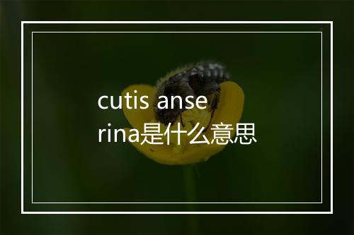 cutis anserina是什么意思