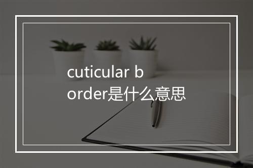 cuticular border是什么意思