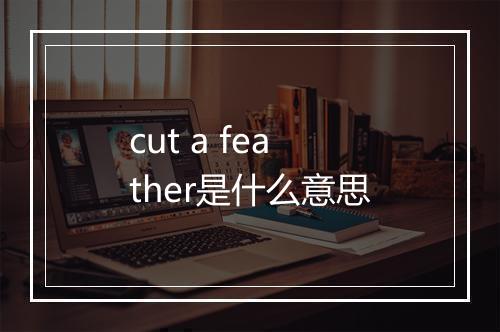 cut a feather是什么意思