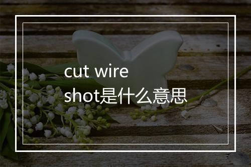 cut wire shot是什么意思