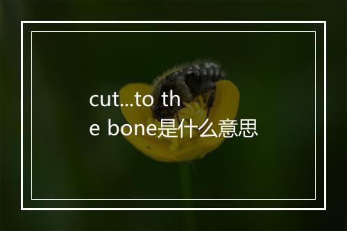 cut...to the bone是什么意思