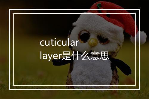 cuticular layer是什么意思