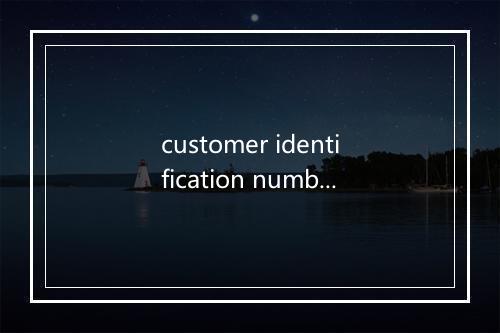 customer identification number是什么意思