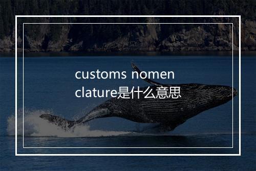 customs nomenclature是什么意思