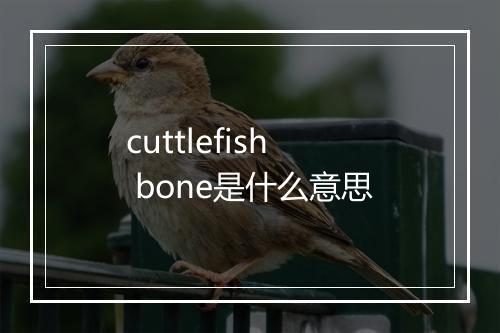 cuttlefish bone是什么意思