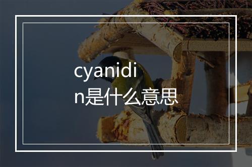 cyanidin是什么意思