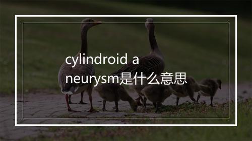 cylindroid aneurysm是什么意思