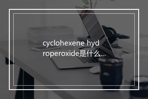 cyclohexene hydroperoxide是什么意思