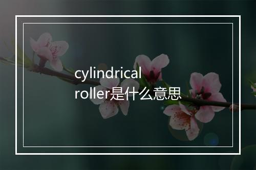 cylindrical roller是什么意思