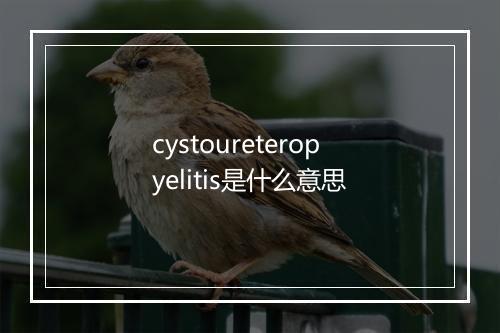 cystoureteropyelitis是什么意思