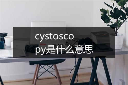 cystoscopy是什么意思