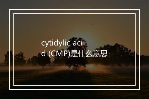 cytidylic acid (CMP)是什么意思