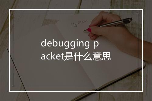 debugging packet是什么意思