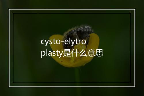 cysto-elytroplasty是什么意思