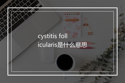 cystitis follicularis是什么意思