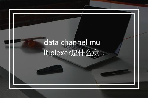 data channel multiplexer是什么意思