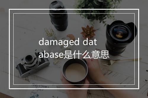 damaged database是什么意思