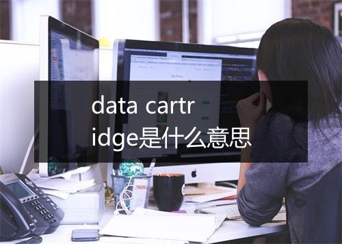 data cartridge是什么意思