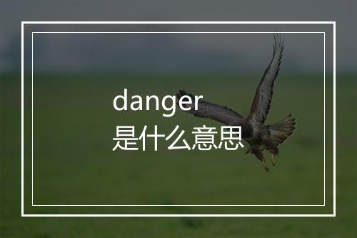 danger是什么意思