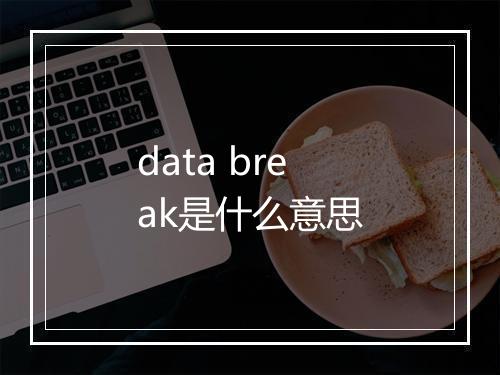 data break是什么意思