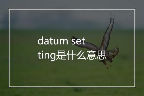 datum setting是什么意思