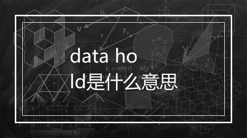 data hold是什么意思