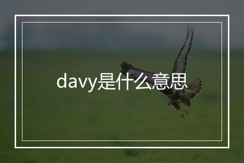 davy是什么意思