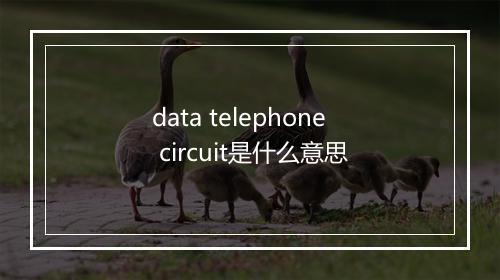 data telephone circuit是什么意思