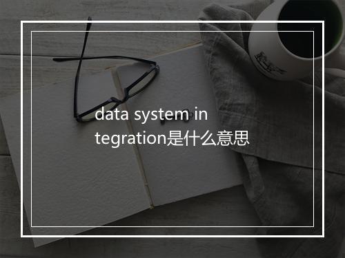 data system integration是什么意思